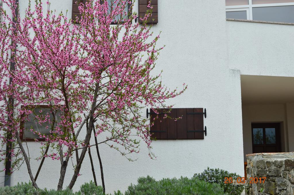 House Of Veli Joze Villa โมโตวุน ภายนอก รูปภาพ